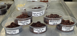 Some of the varieties of chocolate used at Burdicks