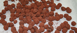 Candied hazelnuts covered in chocolate and cocoa powder